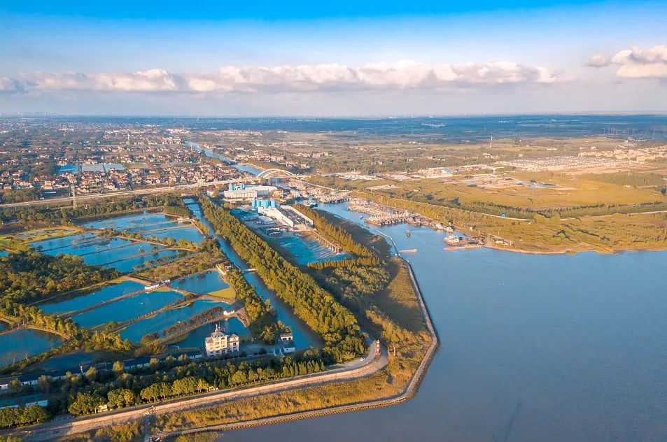 水善汇｜“元年”伊始 水善汇品牌进驻美丽生态“长寿岛”